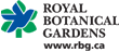RBG Logo