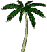 palmtree.gif (9848 bytes)