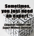 Expert Witness
			Services