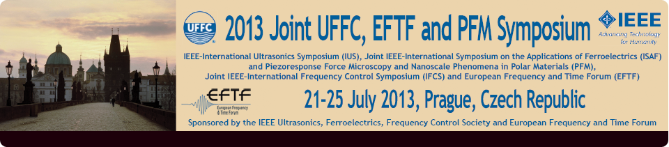 UFFC 2013 banner