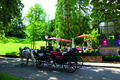 Thumbnail for version as of 15:28, 11 July 2016