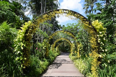 Botanical_Garden