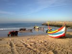 espinho_02.jpg